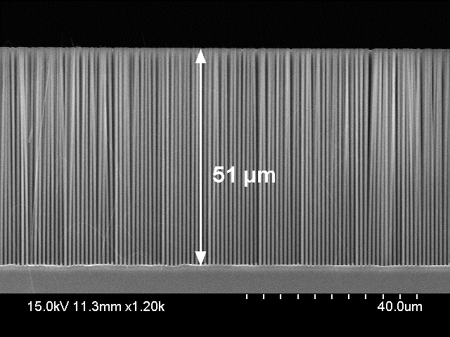 Cross-sectional electron micrograph of 51-micrometer-tall silicon structures formed by MacEtch