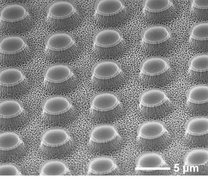 Angled electron micrograph of silicon-carbide pillar arrays formed by photo-enhanced MacEtch
